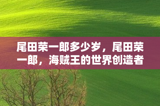 尾田荣一郎多少岁，尾田荣一郎，海贼王的世界创造者