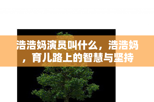 浩浩妈演员叫什么，浩浩妈，育儿路上的智慧与坚持