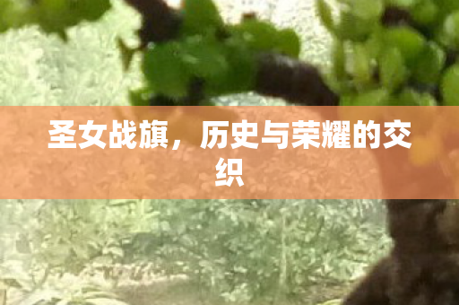 圣女战旗，历史与荣耀的交织