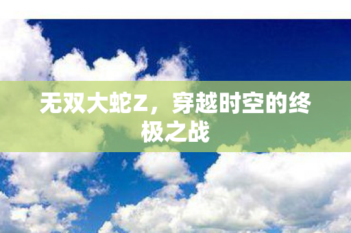 无双大蛇Z，穿越时空的终极之战