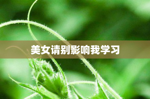 美女请别影响我学习 美女请别影响我学习