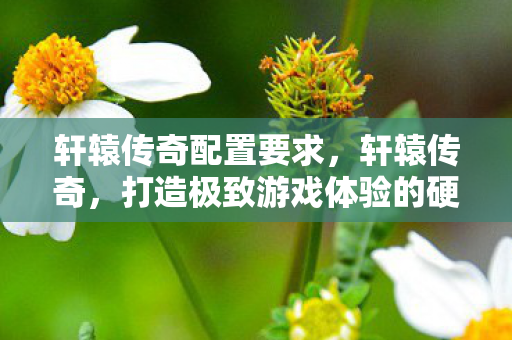 轩辕传奇配置要求，轩辕传奇，打造极致游戏体验的硬件配置指南