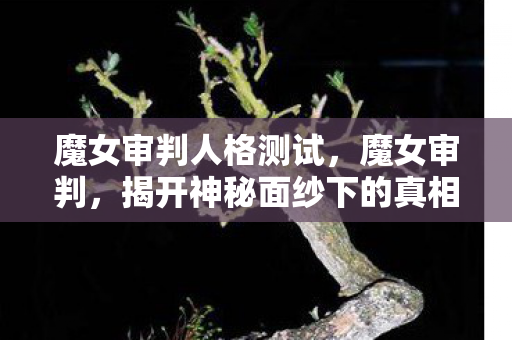 魔女审判人格测试，魔女审判，揭开神秘面纱下的真相