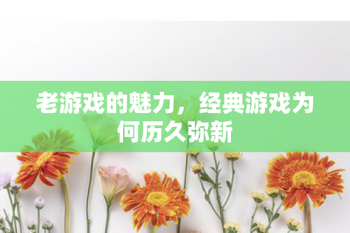 老游戏的魅力，经典游戏为何历久弥新