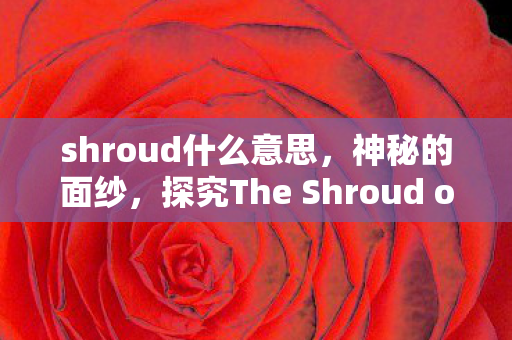 shroud什么意思，神秘的面纱，探究The Shroud of Turin的历史与科学