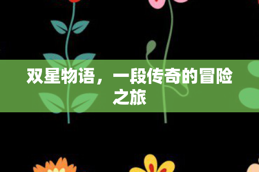 双星物语，一段传奇的冒险之旅