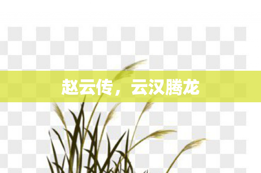 赵云传，云汉腾龙