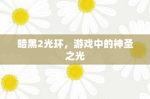 暗黑2光环，游戏中的神圣之光