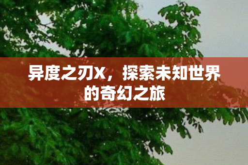 异度之刃X,探索未知世界的奇幻之旅 异度之刃X,探索未知世界的奇幻之旅