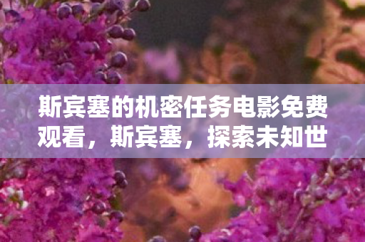 斯宾塞的机密任务电影免费观看，斯宾塞，探索未知世界的先驱