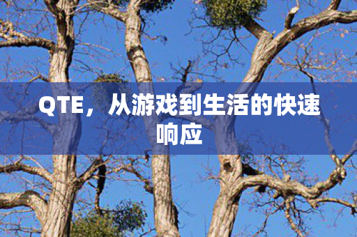 从游戏到生活的快速响应图片