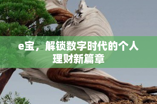 e宝，解锁数字时代的个人理财新篇章