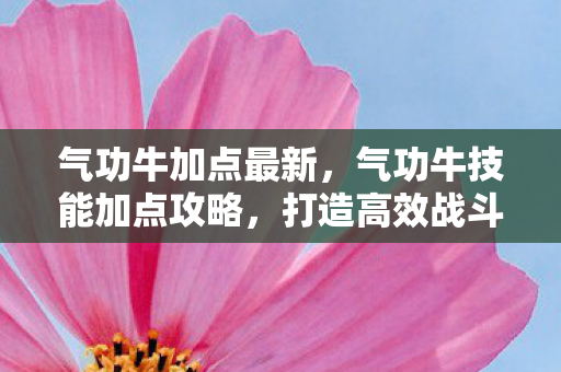 打造高效战斗力的关键图片