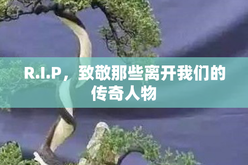 R.I.P，致敬那些离开我们的传奇人物