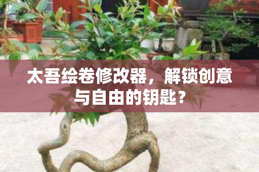 太吾绘卷修改器，解锁创意与自由的钥匙？