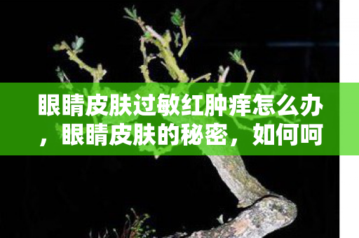 眼睛皮肤过敏红肿痒怎么办图片