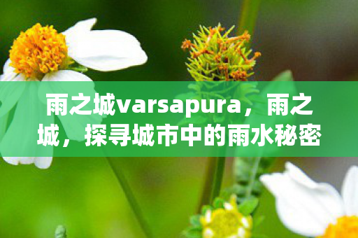 雨之城varsapura，雨之城，探寻城市中的雨水秘密