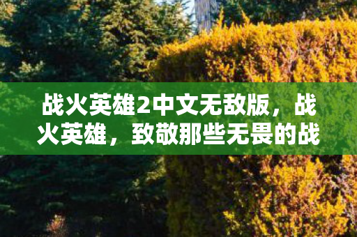 战火英雄2中文无敌版，战火英雄，致敬那些无畏的战士