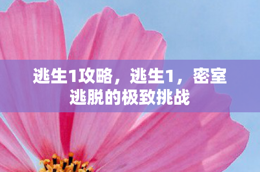 逃生1攻略，逃生1，密室逃脱的极致挑战