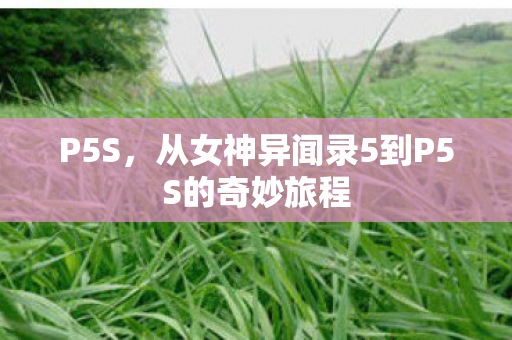 P5S，从女神异闻录5到P5S的奇妙旅程