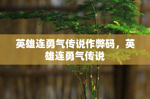 英雄连勇气传说作弊码，英雄连勇气传说