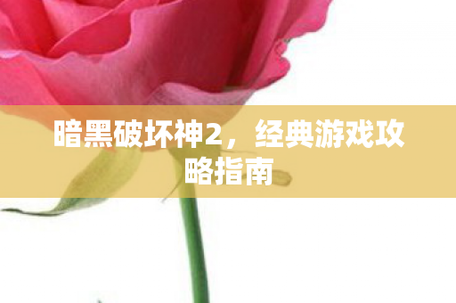 暗黑破坏神2，经典游戏攻略指南