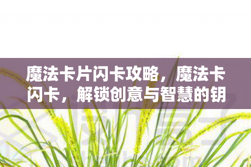 解锁创意与智慧的钥匙图片