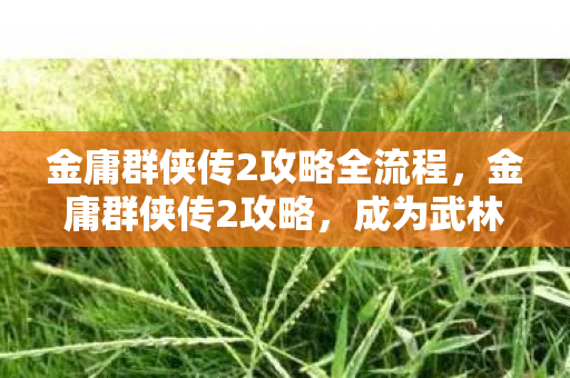 金庸群侠传2攻略全流程，金庸群侠传2攻略，成为武林至尊的秘籍