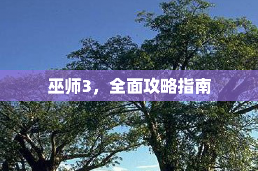 全面攻略指南图片