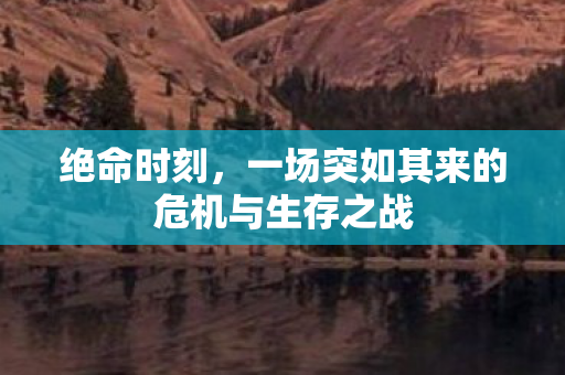 绝命时刻，一场突如其来的危机与生存之战