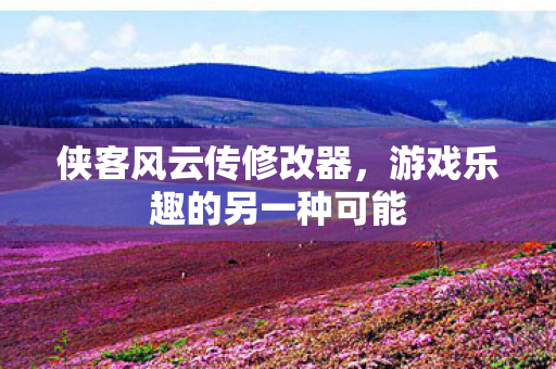 游戏乐趣的另一种可能图片