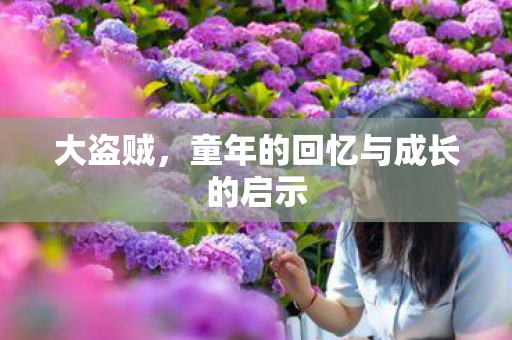 大盗贼，童年的回忆与成长的启示