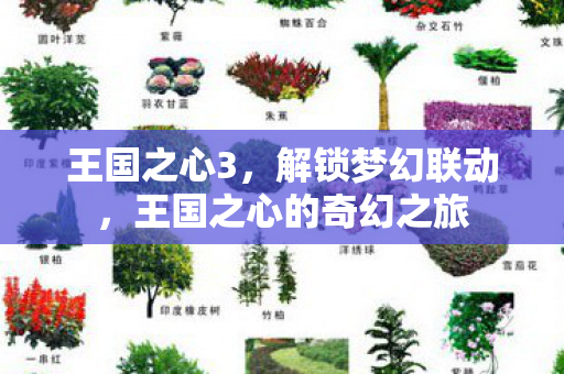 王国之心3，解锁梦幻联动，王国之心的奇幻之旅
