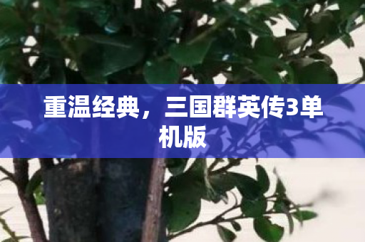 重温经典，三国群英传3单机版
