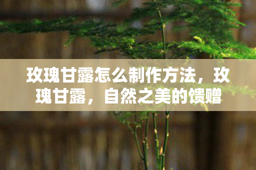 玫瑰甘露怎么制作方法图片