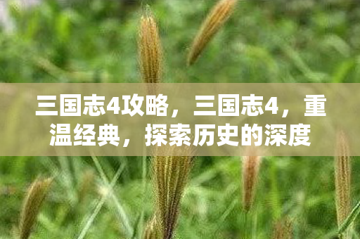 三国志4攻略，三国志4，重温经典，探索历史的深度