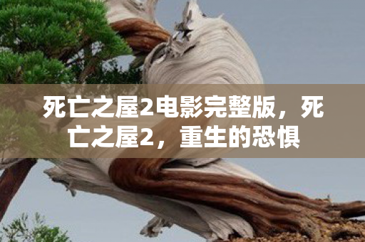 死亡之屋2电影完整版，死亡之屋2，重生的恐惧