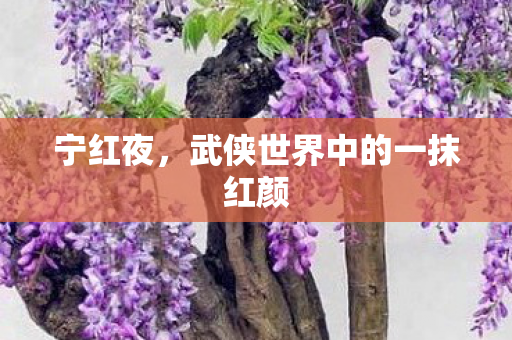 宁红夜，武侠世界中的一抹红颜