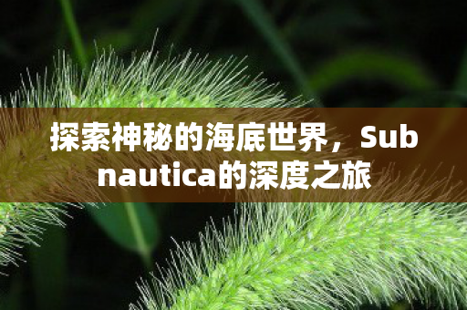 探索神秘的海底世界,Subnautica的深度之旅 探索神秘的海底世界,Subnautica的深度之旅