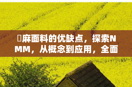 苧麻面料的优缺点，探索NMM，从概念到应用，全面解析NMM在游戏优化中的作用