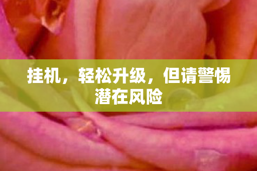 挂机，轻松升级，但请警惕潜在风险