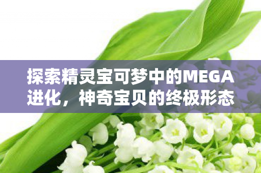 探索精灵宝可梦中的MEGA进化，神奇宝贝的终极形态
