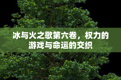 冰与火之歌第六卷，权力的游戏与命运的交织