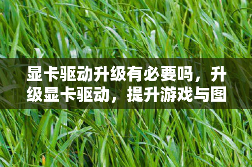 显卡驱动升级有必要吗，升级显卡驱动，提升游戏与图形性能的关键步骤