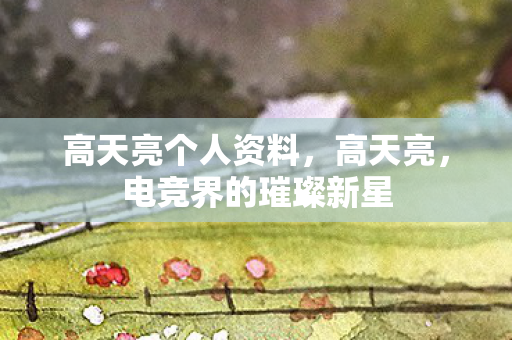 高天亮个人资料，高天亮，电竞界的璀璨新星