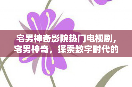 宅男神奇影院热门电视剧,宅男神奇,探索数字时代的另类生活方式 宅男神奇影院热门电视剧,宅男神奇,探索数字时代的另类生活方式