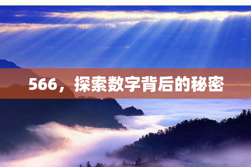 566，探索数字背后的秘密