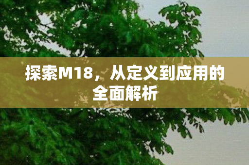 探索M18，从定义到应用的全面解析