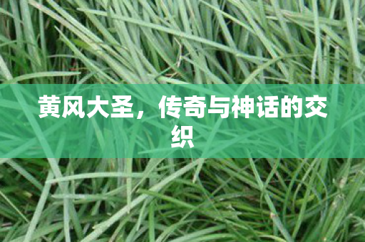 黄风大圣，传奇与神话的交织