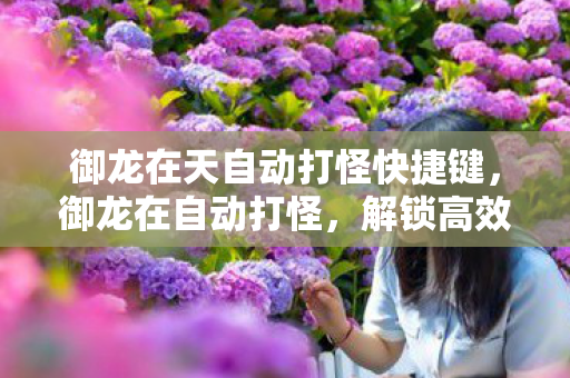 御龙在天自动打怪快捷键,御龙在自动打怪,解锁高效战斗新体验 御龙在天自动打怪快捷键,御龙在自动打怪,解锁高效战斗新体验